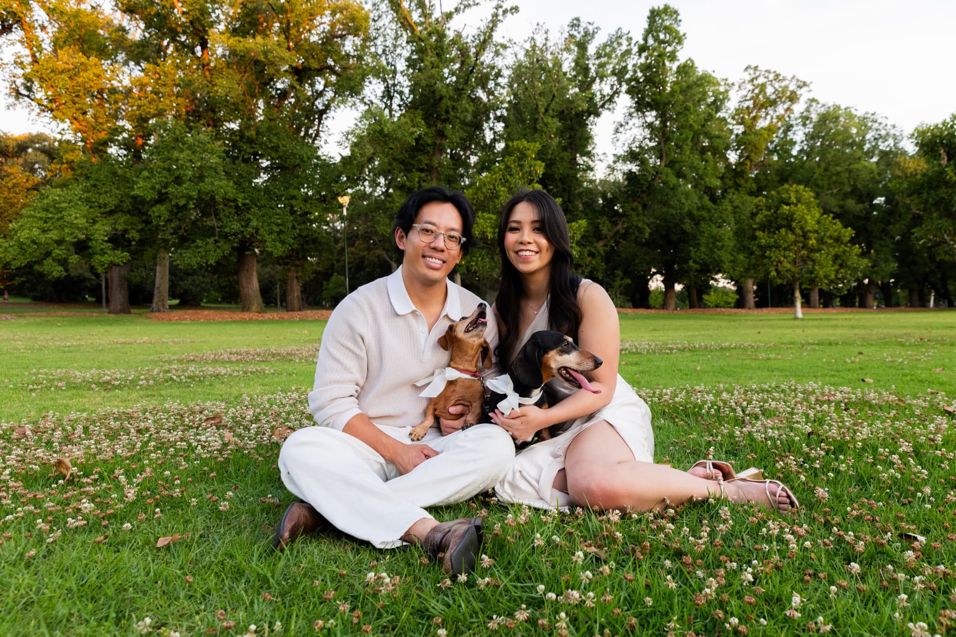 Pat and Justine sitting with their dogs in a green park