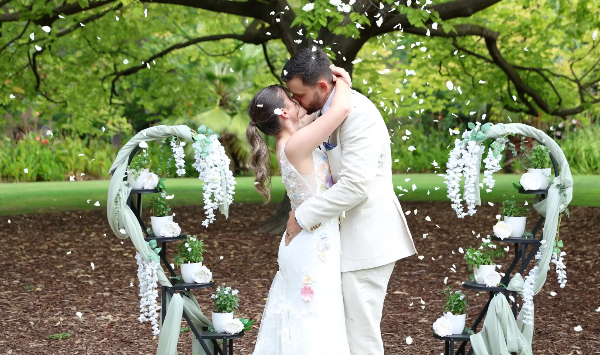 Newlyweds kissing beneath a tree as white petals fall